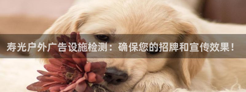 杏宇平台登录方法：寿光户外广告设施检测：确保您的招牌和宣传效果！