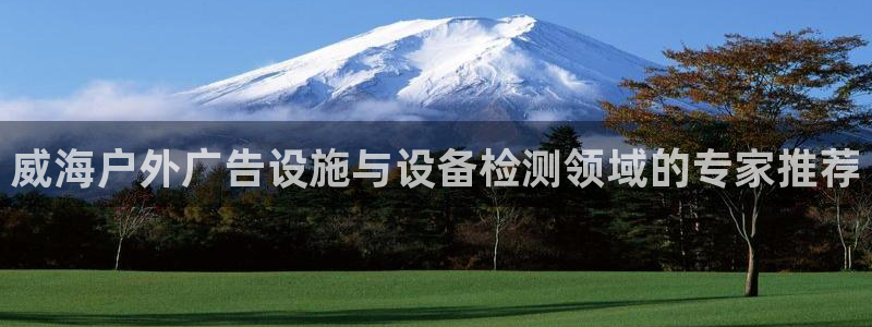 杏宇平台招商电话号码：威海户外广告设施与设备检测领域的专家推荐