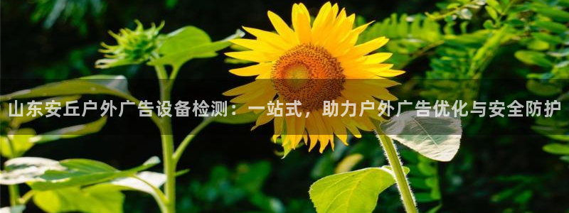 杏宇平台总代理：山东安丘户外广告设备检测：一站式，助力户外广告优化与安全防护