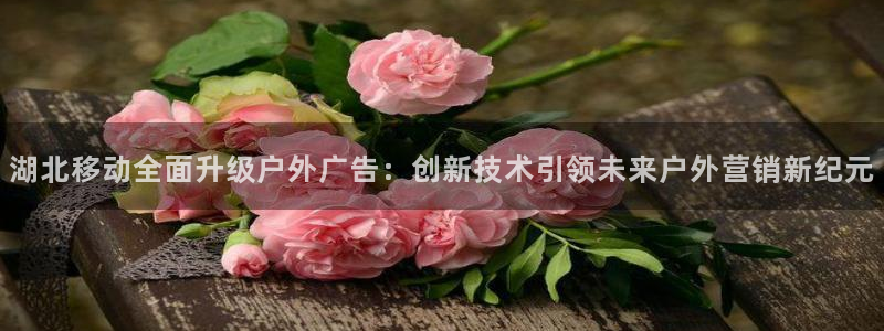 杏宇平台怎么样：湖北移动全面升级户外广告：创新技术引领未来户外营销新纪元