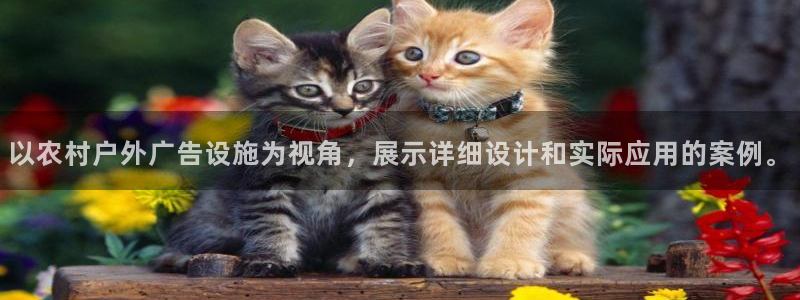 杏宇平台代理怎么赚钱快：以农村户外广告设施为视角，展示详细设计和实际应用的案例。