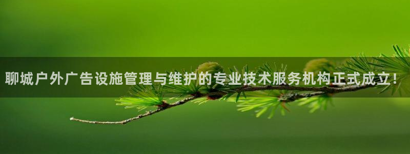 杏宇平台测速链接：聊城户外广告设施管理与维护的专业技术服务机构正式成立！
