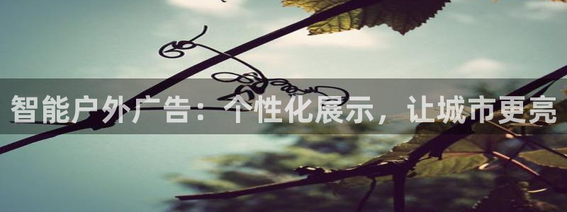 杏宇平台注册地址在哪里：智能户外广告：个性化展示，让城市更亮