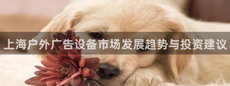 杏宇平台开户：上海户外广告设备市场发展趋势与投资建议