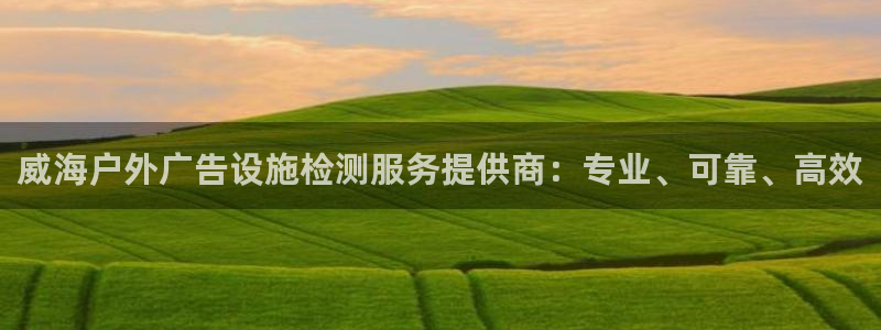 杏宇平台是什么