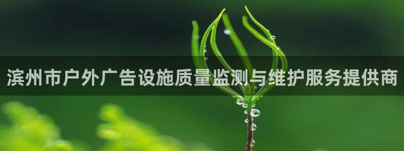 杏宇平台是什么：滨州市户外广告设施质量监测与维护服务提供商
