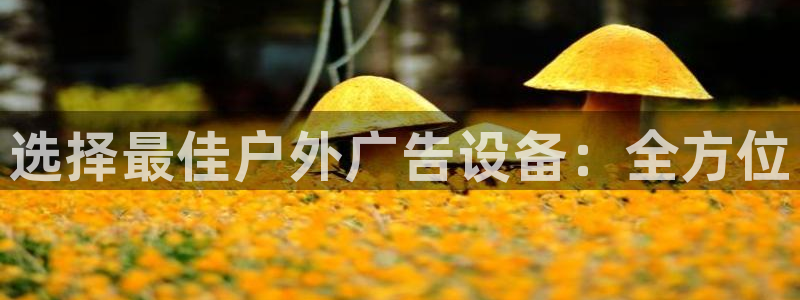 杏宇平台代理怎么样赚钱：选择最佳户外广告设备：全方位