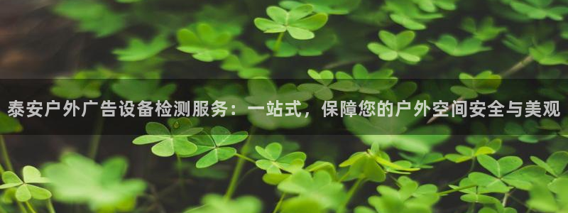 杏宇代理注册：泰安户外广告设备检测服务：一站式，保障您的户外空间安全与美观
