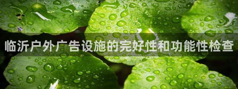 杏宇平台开户：临沂户外广告设施的完好性和功能性检查
