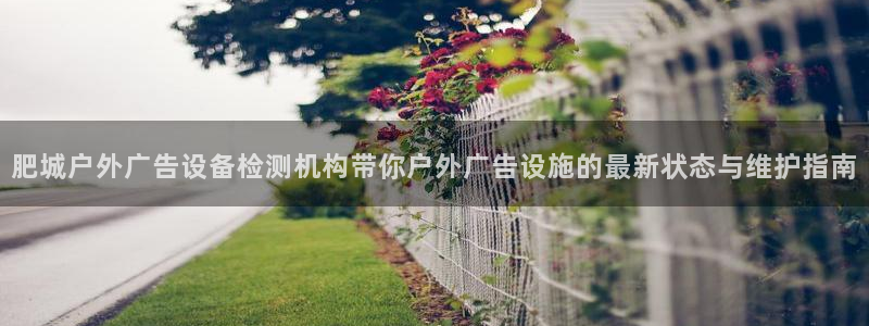 杏宇平台提现为什么这么久呢：肥城户外广告设备检测机构带你户外广告设施的最新状态与维护指南
