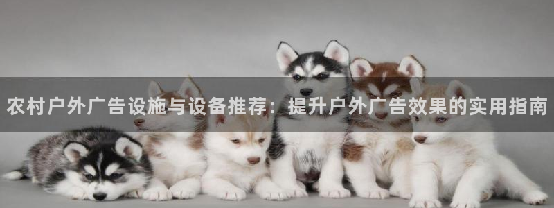 杏宇平台登录步骤：农村户外广告设施与设备推荐：提升户外广告效果的实用指南