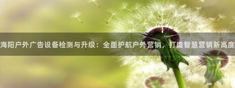 杏宇平台官网注册：海阳户外广告设备检测与升级：全面护航户外营销，打造智慧营销新高度
