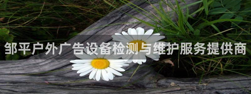 杏宇平台注册地址：邹平户外广告设备检测与维护服务提供商