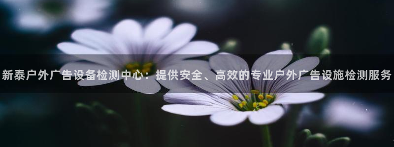 杏宇平台提现为什么这么久呢：新泰户外广告设备检测中心：提供安全、高效的专业户外广告设施检测服务