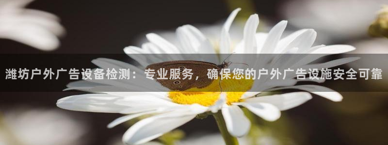 杏宇平台登录步骤是什么：潍坊户外广告设备检测：专业服务，确保您的户外广告设施安全可靠