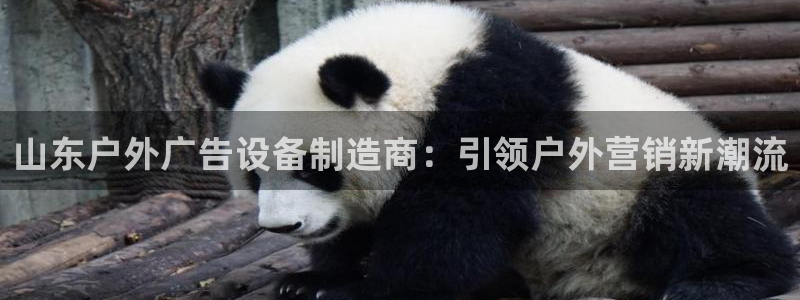 杏宇平台招商：山东户外广告设备制造商：引领户外营销新潮流