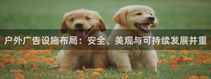 杏宇平台怎么样知乎：户外广告设施布局：安