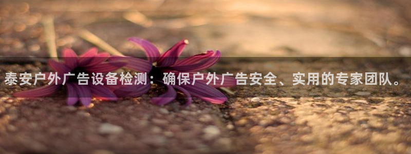杏宇官方平台官网下载：泰安户外广告设备检测：确保户外广告安全、实用的专家团队。