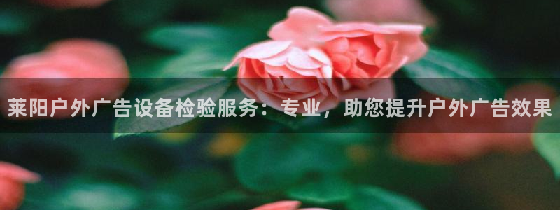 杏宇平台代理多少钱：莱阳户外广告设备检验服务：专业，助您提升户外广告效果