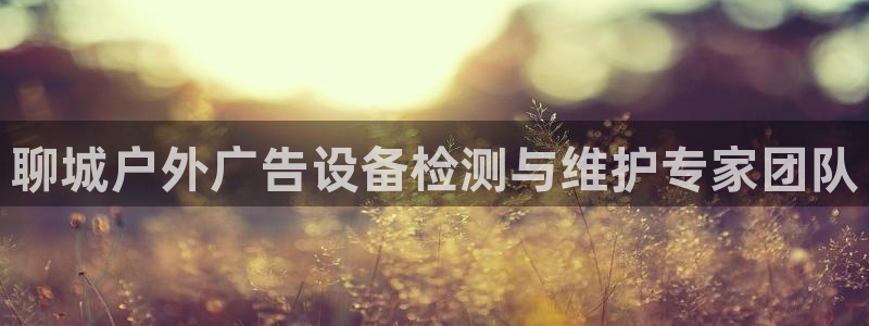 杏宇平台代理多少钱一个月：聊城户外广告设备检测与维护专家团队