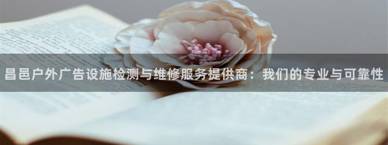 杏宇平台总代理