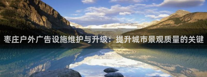 杏宇代理注册：枣庄户外广告设施维护与升级：提升城市景观质量的关键