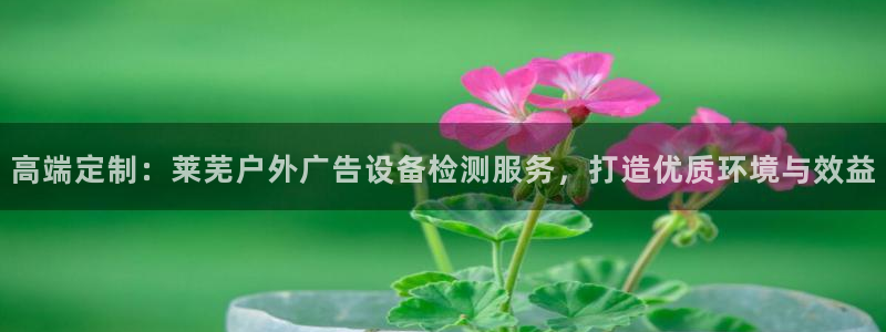 杏宇平台总代理电话：高端定制：莱芜户外广告设备检测服务，打造优质环境与效益