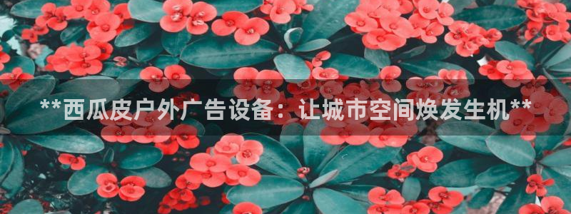 杏宇平台是什么：**西瓜皮户外广告设备：让城市空间焕发生机**