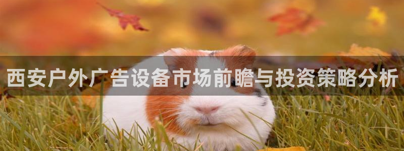 杏宇平台好吗：西安户外广告设备市场前瞻与投资策略分析