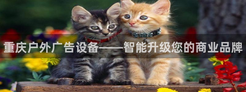 杏宇平台代理多少钱一次：重庆户外广告设备——智能升级您的商业品牌