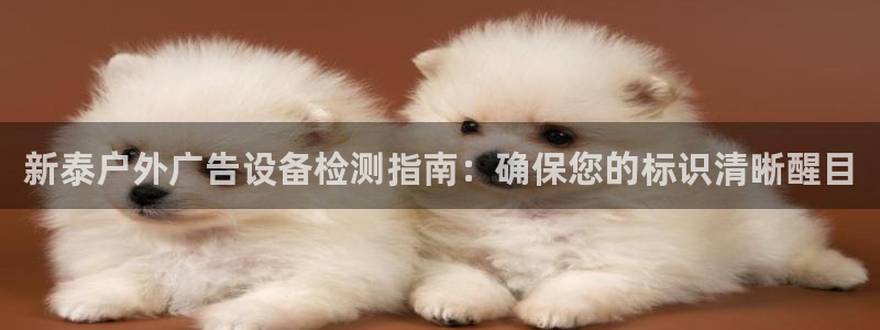 杏宇平台代理怎么赚钱的：新泰户外广告设备