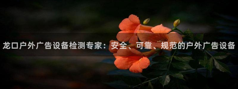 杏宇平台登录步骤：龙口户外广告设备检测专