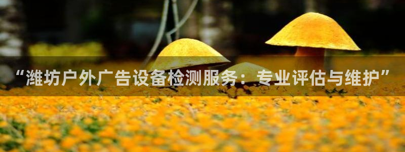 杏宇平台招商怎么样：“潍坊户外广告设备检